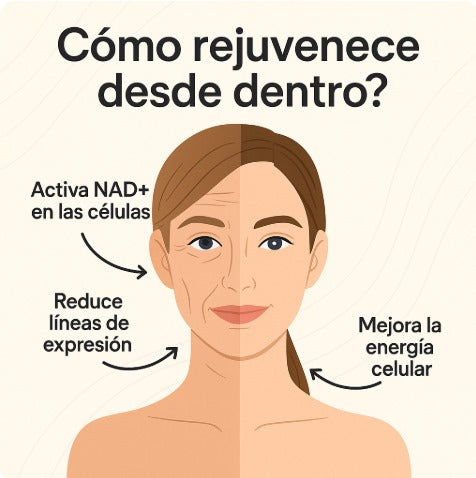 NAD + Resveratrol - Cápsulas de Reparacion Celular Antienvejecimiento y Energía Extra (80 Capsulas)